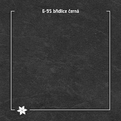 6–95 bridlica čierna